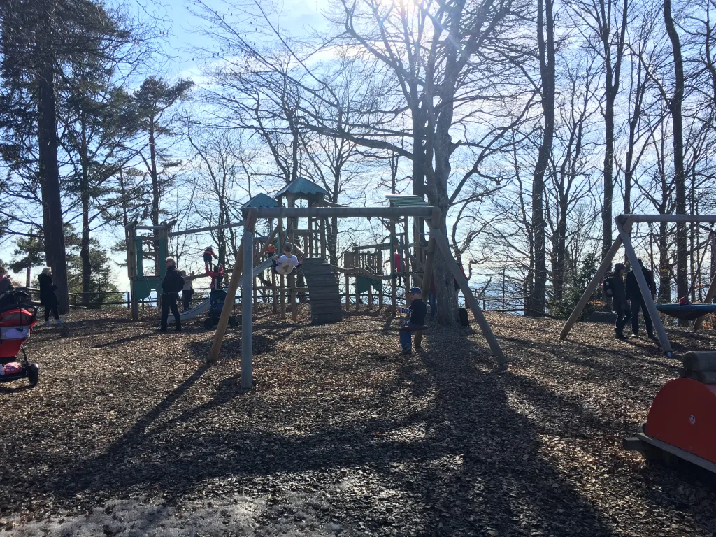 IMG 3841