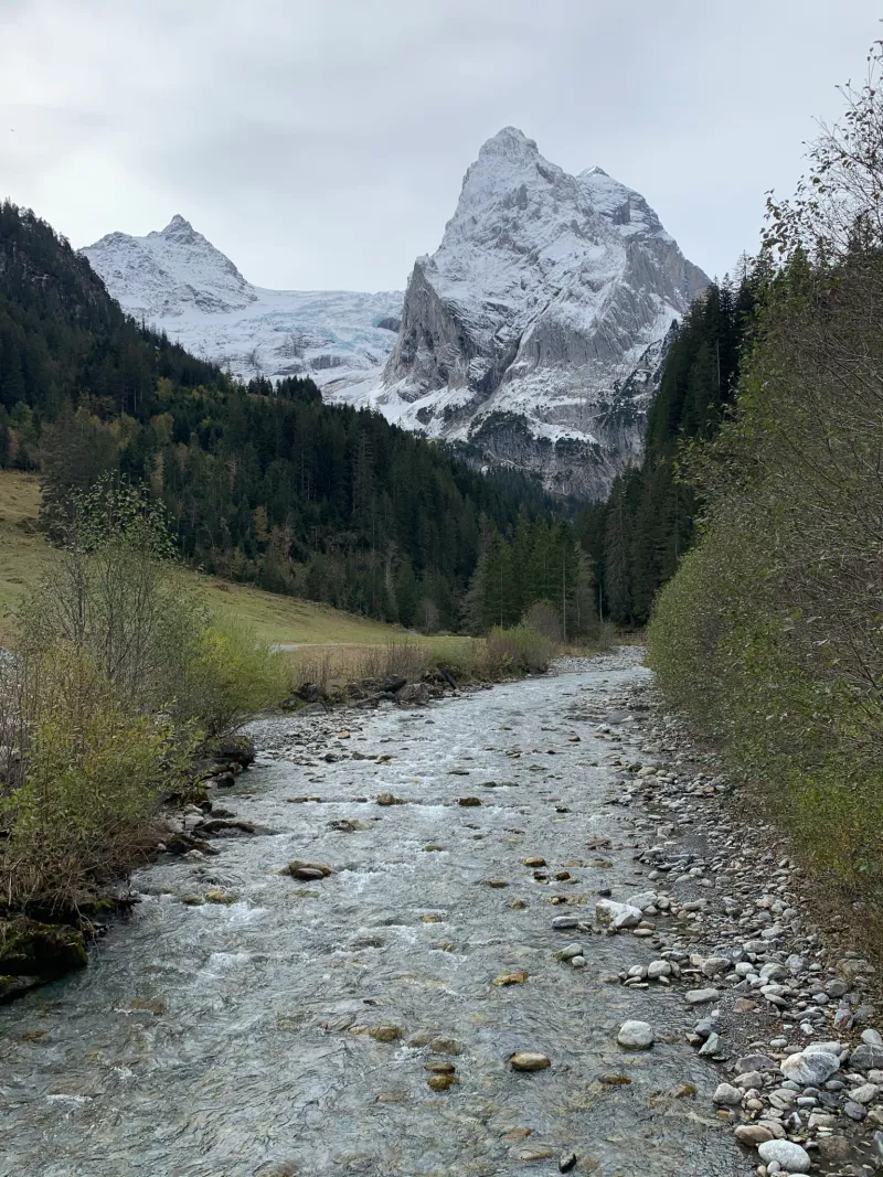 img 7613