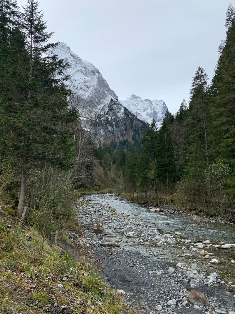IMG 7635