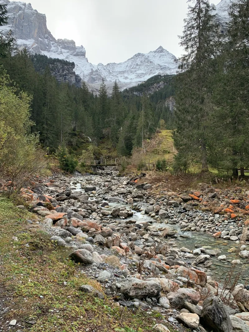 IMG 7641