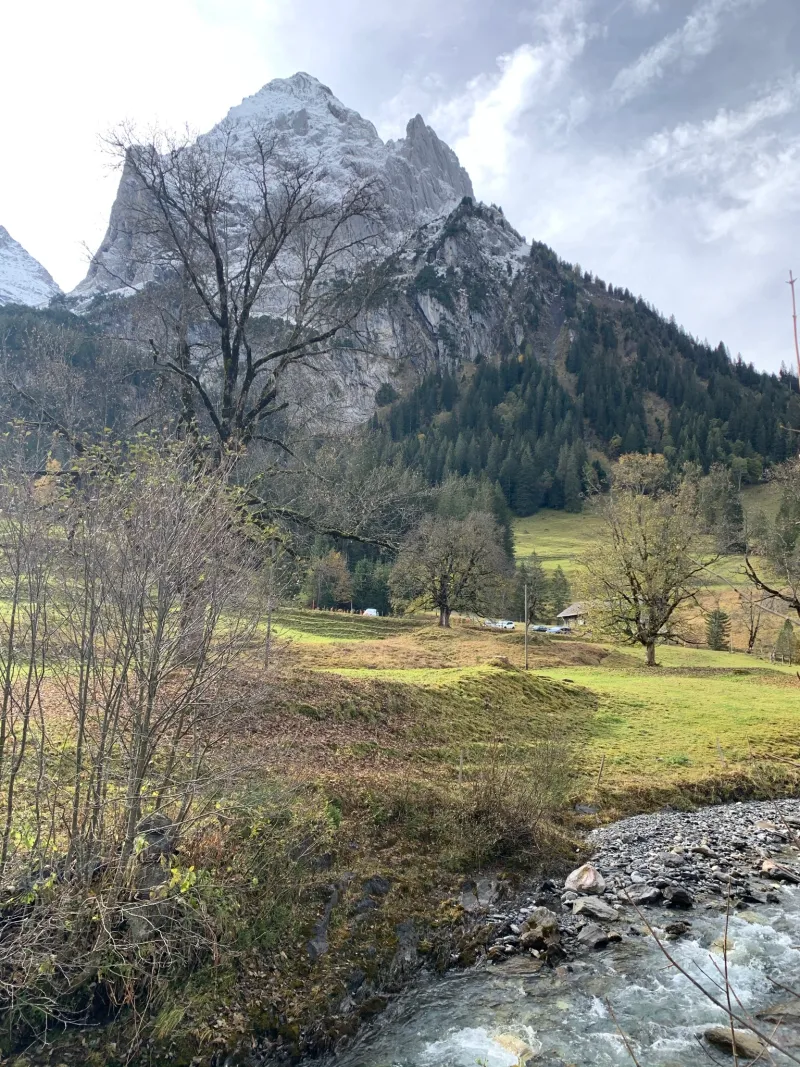 IMG 7658